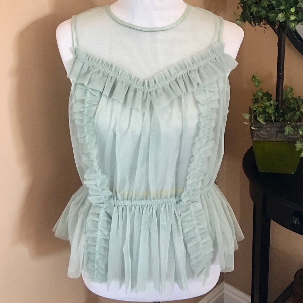 Sheer ruffle top